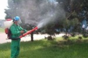 Doua saptamani de dezinsectie terestra in Braila