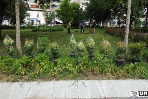 FOTO/ ȘTIREA TA: Parcul Unirii a ajuns, în sfârşit, în atenţia autorităţilor – se coseşte iarba, se igienizează, se plantează arbuşti