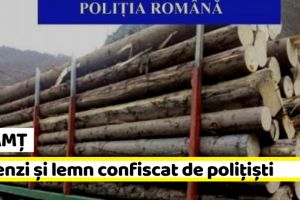 NEAMȚ: Amenzi şi lemn confiscat de poliţiştii din Neamţ