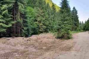 FOTO| Primarul oraşului Câmpeni: Deşeurile care provin din demolări folosite pentru a acoperi un ogaş produs în urma unei viituri