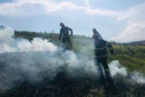 Incendiu de amploare in municipiul Tulcea. Pompierii intervin in zona Cimitirului Nou (galerie foto)