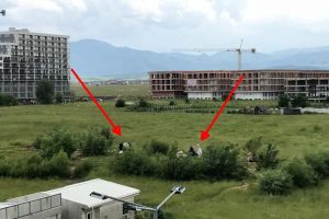 Romii care şi-au pus corturile pe câmp la graniţa dintre Șelimbăr şi Sibiu s-au întors