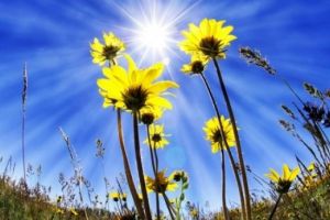 Cum va fi VREMEA până în 30 iunie 2019, în Transilvania, la munte şi la mare. ANM a publicat prognoza meteo pentru următoarele două săptămâni