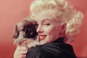 Au furat-o pe Marilyn