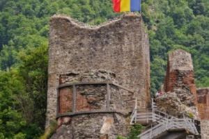 Cetatea Poenari asediată de urşi