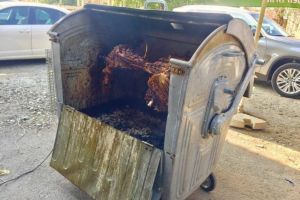 Postarea lui Godina care a starnit Internetul: Container de gunoi, transformat in protap 