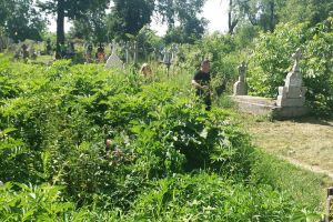 VIDEO Revoltă faţă de mizeria din cimitirele din Botoşani. „ Atât de murdar, plin de boscheţi, plin de buruieni, neasfaltat”
