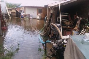 Efectele furtunii: Pompierii din Bihor au evacuat ape din beciuri, clădiri şi o şcoală şi au îndepărtat copacii căzuţi pe un drum judeţean