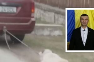 Viceprimarul care a târât câinele de maşină, DEMIS