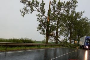 PERICOL de MOARTE pe drumul Arad – Oradea! (FOTO)