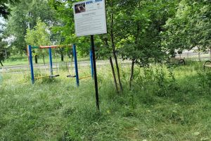 Parcul nepăsării: Un loc de joacă pentru copiii din Oradea, invadat de buruieni (FOTO)