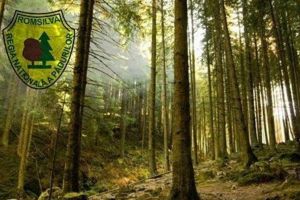 Intră în vigoare noul Contract Colectiv de Muncă al Regiei Naţionale a Pădurilor – ROMSILVA