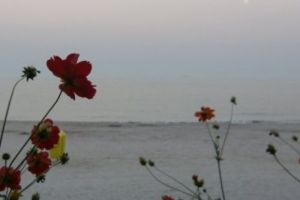   În drum spre redacţie, atunci când paşii grăbiţi se opresc