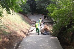 Mai multe echipe au igienizat scarile de acces catre plajele din municipiul Constanta