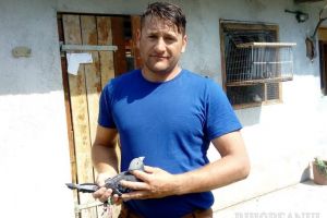 Campionatul porumbeilor voiajori: Geczi Mehesz Levente câştigă etapa de viteză Presov