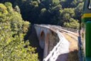 Comunicări şi excursii tematice în cadrul Colocviilor Naţionale ale Revistei Reflex