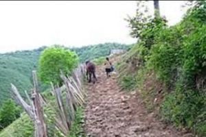 Un traficant şi-a pus propriul copil în pericol. O fetiţă de 7 ani a fost împuşcată de poliţişti