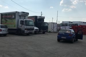 O parte din averea familiei fostului preşedinte al Consiliului Judeţean, Florin Țurcanu, scoasă la vânzare