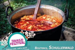 Maghiarii vor găti şapte feluri de gulaş în Pădurea Schullerwald