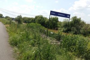 Pista de biciclete din Timişoara a devenit o potecă printre buruieni la Podul Modoş