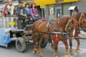 Rece şi cu spume! Sărbătoarea Berii revine la Lugoj, cu Proconsul cap de afiş