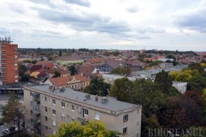 Orădeni, nu uitaţi: sunteţi obligaţi să întreţineţi spaţiile verzi şi terenurile pe care le deţineţi sau le administraţi