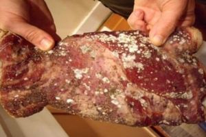 Controale aspre în judeţul Satu Mare. Peste 90 kg de carne, confiscată