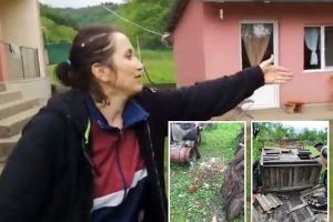 Ursul în cătare! Un urs înfometat dă iama prin gospodăriile din Munţii Apuseni. Vânătorii nu au aprobare pentru a-l ucide