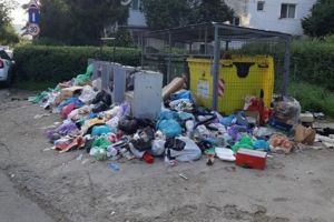 Rosal Bucureşti intervine în problema salubrităţii din Ploieşti! Supervizor delegat pentru Ploieşti şi Prahova