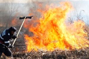 Fermierii care dau foc vegetaţiei fără autorizaţie rămân fără subvenţie şi pot primi amenzi