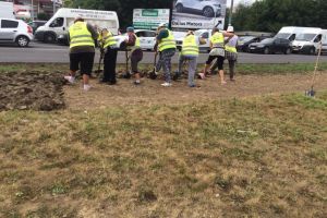 Actiuni de salubrizare stradala si de intretinere a spatiilor verzi, in mai multe cartiere si zone din Constanta