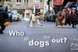 Eveniment pe strada Enescu. 112 Coffee & Co. sărbătoreşte un an de activitate, cu multe surprize în program.