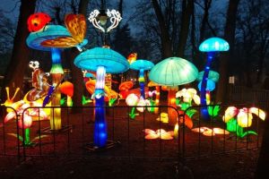 FOTO Eveniment inedit – Muzeul din Dumbrava luminat duminică la Festivalul Lanternelor