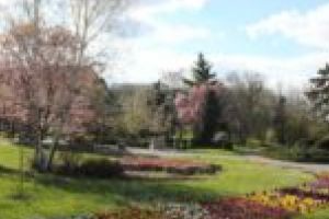 Nicolae Robu îi ameninţă pe şefii de la spaţii verzi!