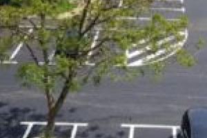 Primăria Timişoara le cere locatarilor să elibereze parcările şi carosabilul!