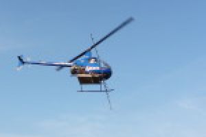 Lupta împotriva ţânţarilor continuă – începe dezinsecţia aeriană la Timişoara!