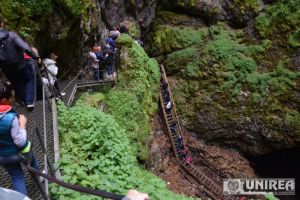 Accesul în Peştera Scărişoara, cel mai mare gheţar subteran din România, va fi reamenajat de o firmă din Baia de Arieş