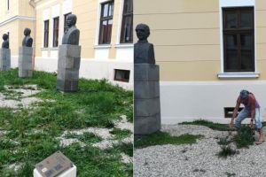 FOTO/ ȘTIREA TA: ”Dacă veniţi la Alba Iulia, puteţi vizita buruienile din faţa Sălii Unirii sau puteţi smulge, în trecere, câte una”