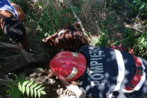  Cal cazut intr-o groapa de aproximativ 2 metri adancime, din localitatea Mineri din Tulcea