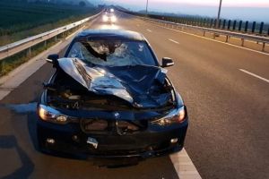 FOTO/ La un pas de o TRAGEDIE, pe Autostrada Sebeş-Turda: Maşină FĂCUTĂ PRAF după ”întâlnirea” cu un cerb, pe tronsonul Turda-Aiud