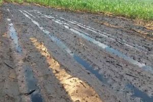 Poluare pe un câmp din Topoloveni!