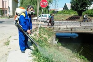Al treilea val. Joia viitoare va începe o nouă etapă a dezinsecţiei pe spaţiile publice