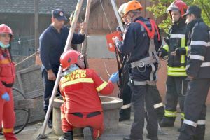 Cal căzut într-o fântână de trei metri la Orlat – A fost scos de pompieri