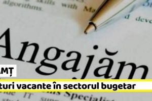 NEAMȚ: 35 posturi vacante în sectorul bugetar la data de 23 iunie