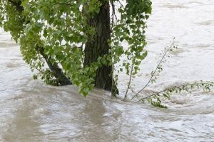 Inundaţii. Coduri galbene şi portocalii