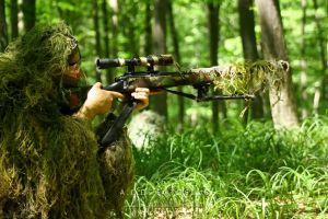 Zeci de tineri ”înarmaţi” au luat cu asalt o pădure din Botoşani