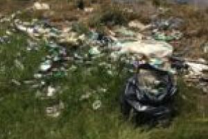 Tone de deşeuri adunate de pe cursurile de apă din Timiş