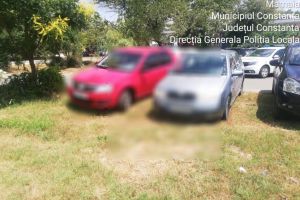 Zeci de amenzi aplicate de politistii locali din Constanta in week-end. Ce nereguli au fost sanctionate (galerie foto)