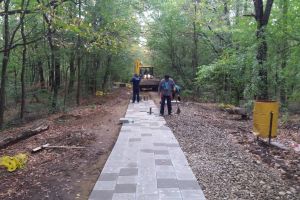 Iluminat public la Lacul cu nuferi de la Ipoteşti