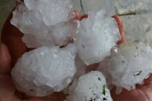 Grindina cât oul de raţă în Timiş: oamenii sunt speriaţi de ce va urma
